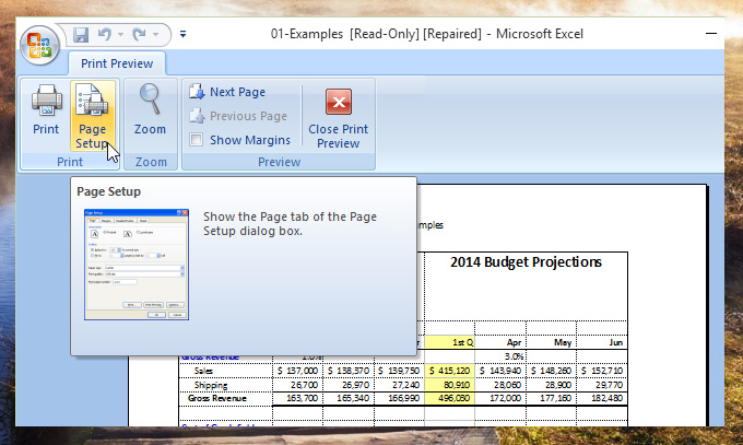 Printing-Sheet-Excel-2007-1